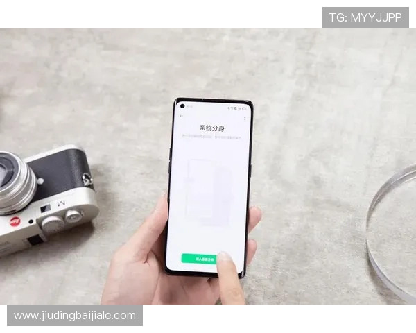 爱游戏下载登录安全保障措施，教你如何保护个人信息安全，避免账号被盗风险