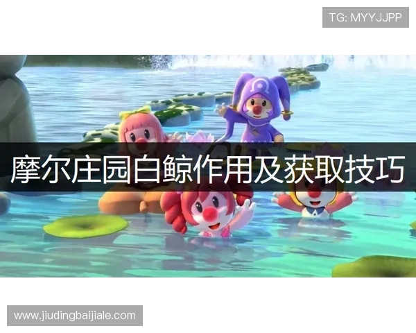 在PA中文官网上获取最权威的游戏新闻与官方公告，第一时间掌握游戏动态与活动安排