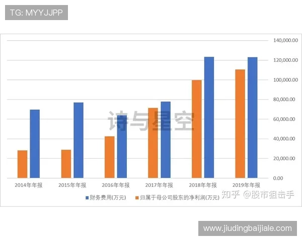 dg视讯盈利能力评估指标体系构建与实际应用分析